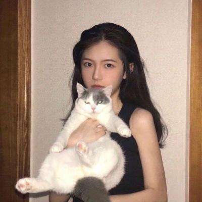 少女执行官手游